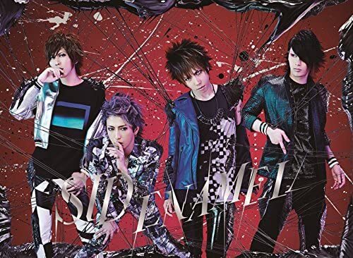 Sid ENAMEL Limited Edition B 2CD Unopened First Press Used | Japansoundstore