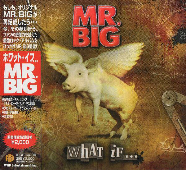 MR.BIG What If... CD Limited Edition WHD Entertainment IECP10236 Used | Japansoundstore