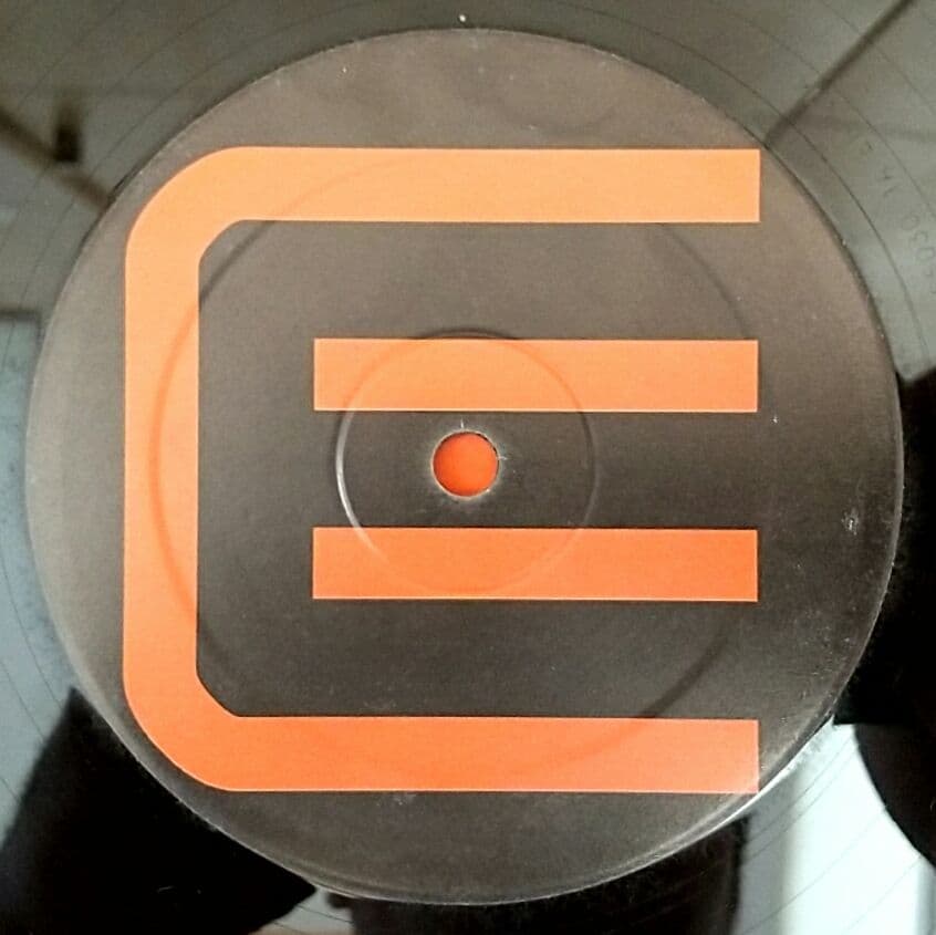 Sandy W Featuring Duane Harden Love For The Music 12" House Vinyl Record