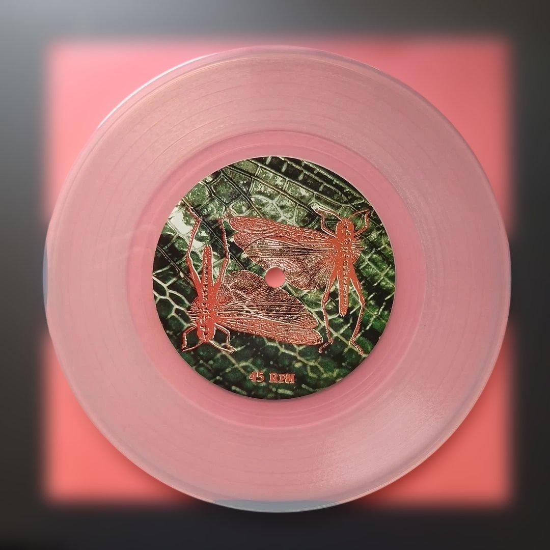 The Locust - Flight Of The Wounded Locust 7" Clear Vinyl EP Hardcore Punk GSL41