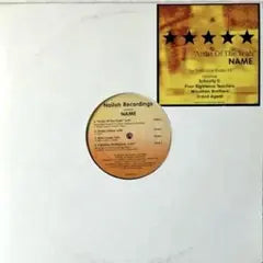 Various Artists - Artist Of The Year 12" Vinyl Record Hip Hop Boom Bap