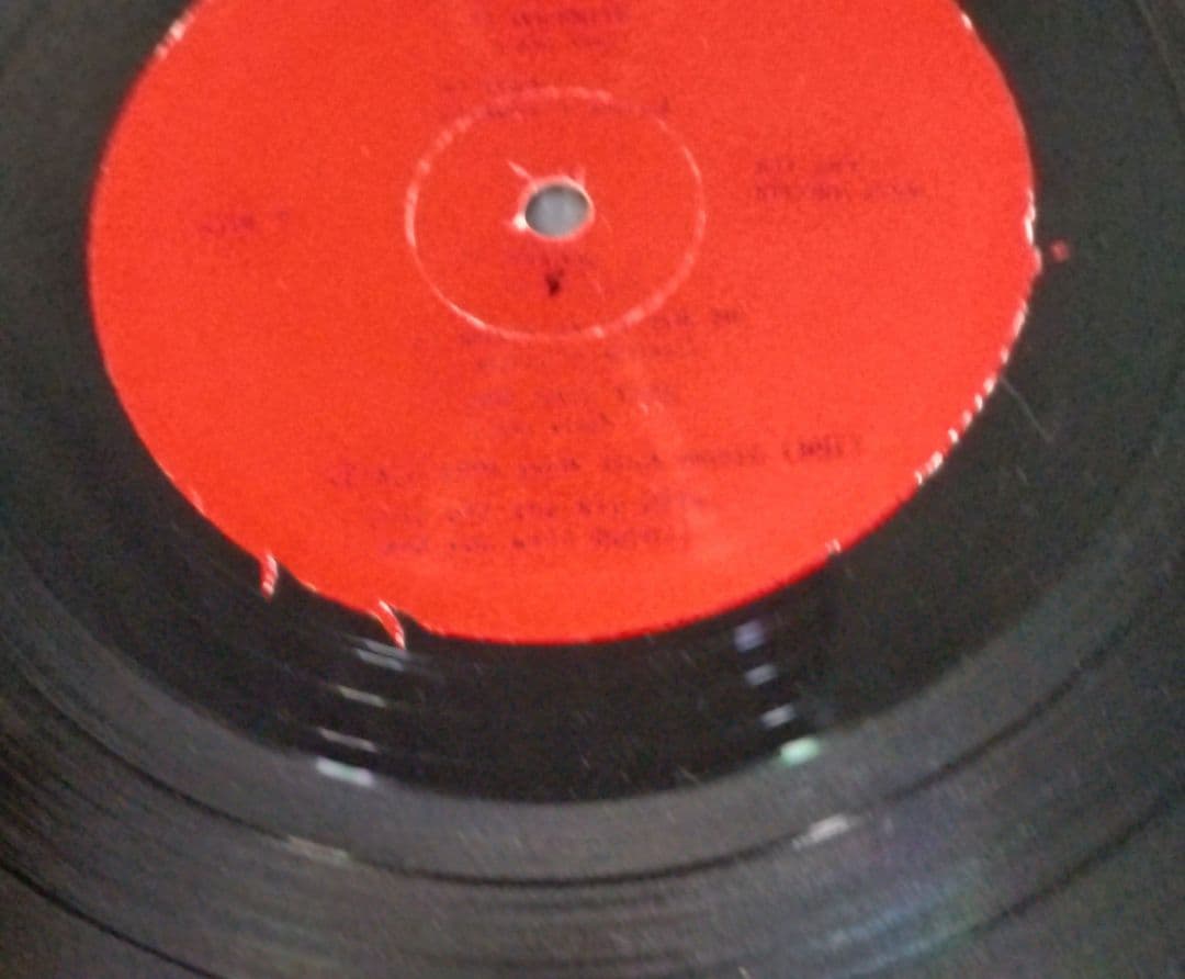 The Rip Offs - Got A Record LP Vinyl Punk Garage Rock US Pressing