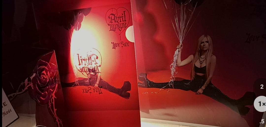 Avril Lavigne Love Sux Mega Jacket 24.5cm Japan Display Art
