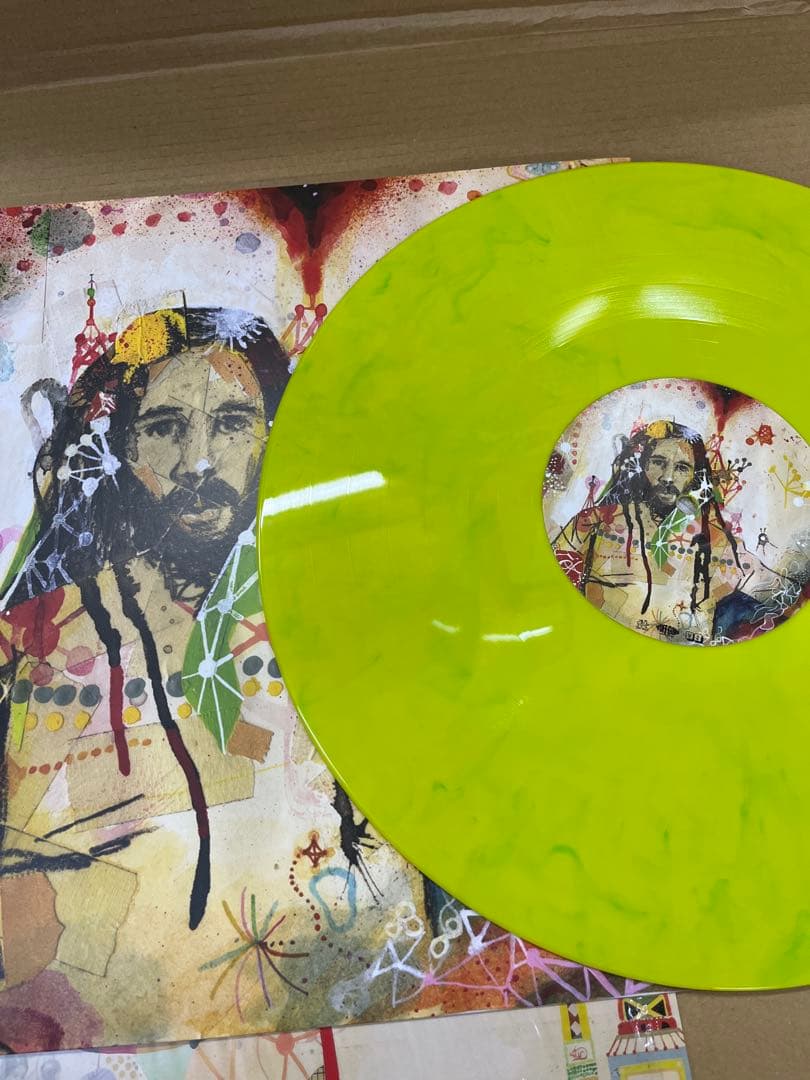 Ziggy Marley - Fly Rasta LP Vinyl Colored Disc Reggae 2014 Release