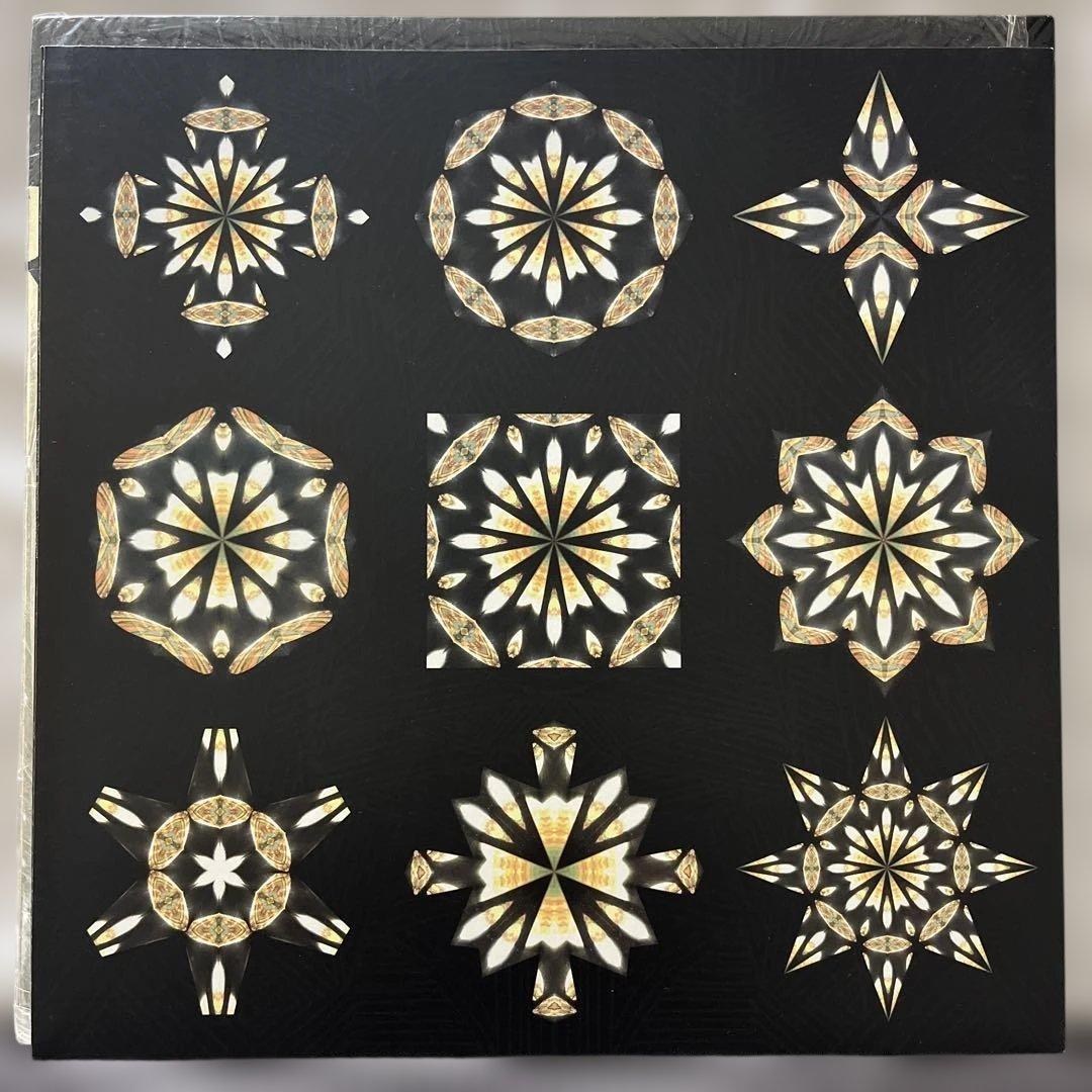These Puritans Beat Pyramid LP Vinyl 2008 Indie Art Rock Record