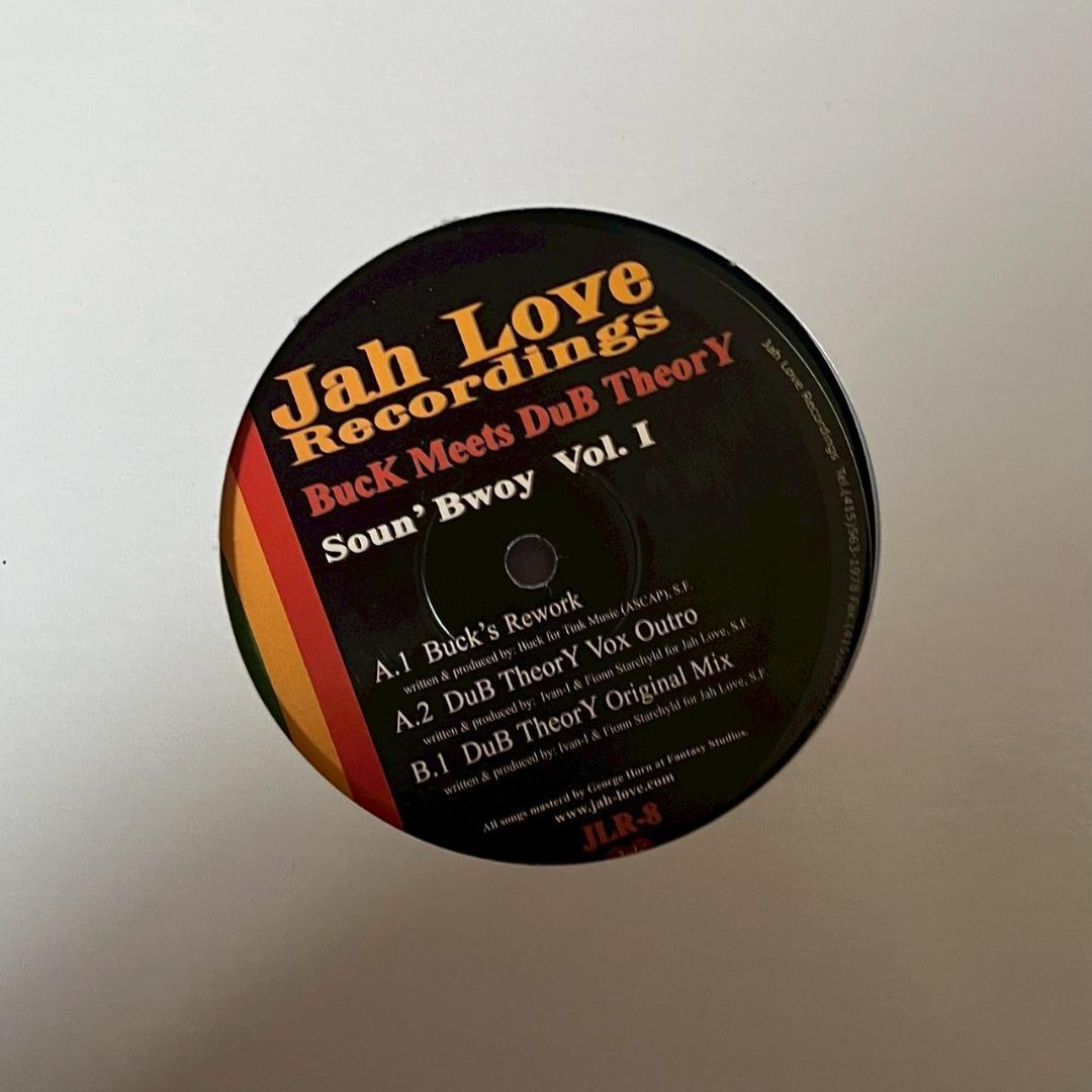 Buck Meets Dub Theory - Soun' Bwoy Vol. I 12" Vinyl Electronic Reggae Dub US
