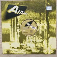 Dave 202 - Paul Green 12" Vinyl Record Anthem Japan Electronic Trance