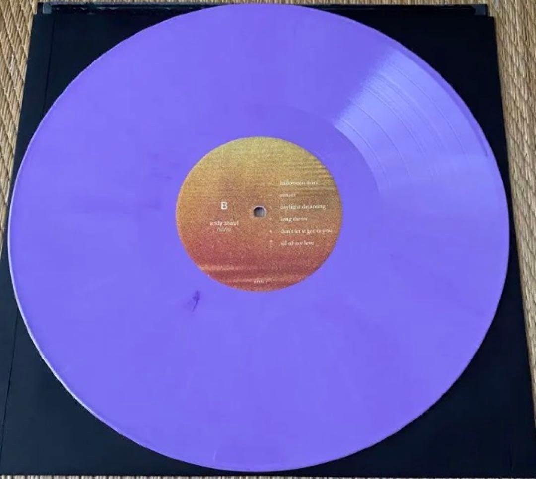 Andy Shauf - Norm LP Purple Vinyl 2023 Concept Album Indie Folk