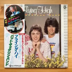 Pat McGlynn Band - Flying High Japan LP Picture Disc Original 1979 +Obi & Liner