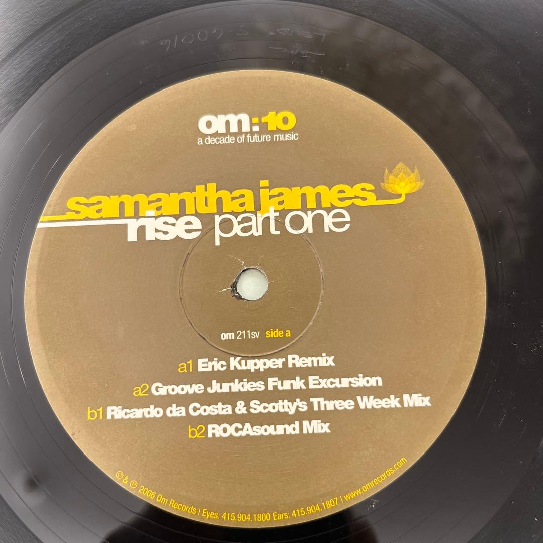 Samantha James - Rise Part One Vinyl 12" Remixes Om Records House Electronica