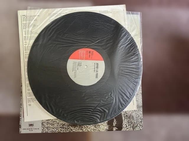 Jeffrey Lee Pierce Wildweed LP Japan Original w/ Obi Gun Club Goth Post-Punk