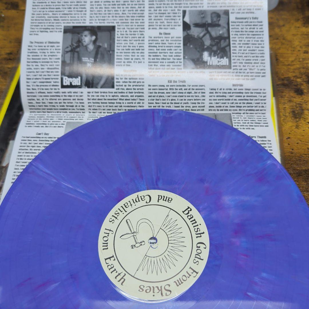 Trepan Nation - Banish Gods From Skies... Rare Purple Vinyl LP Punk Hardcore