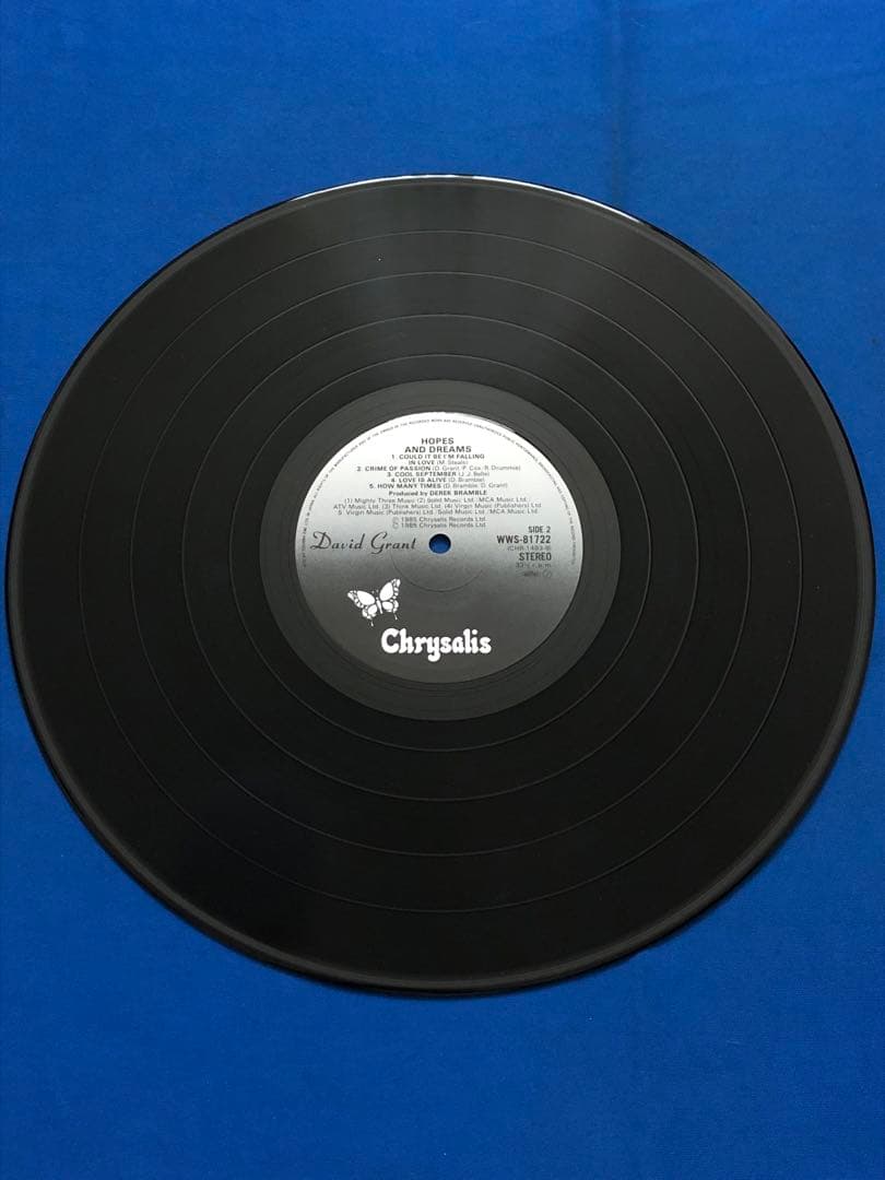 David Grant - Hopes And Dreams Vinyl LP Japan WWS-81722 With Obi 1985
