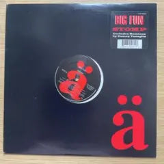 Big Fun - Stomp 12" Vinyl Record Danny Tenaglia Remixes House Music