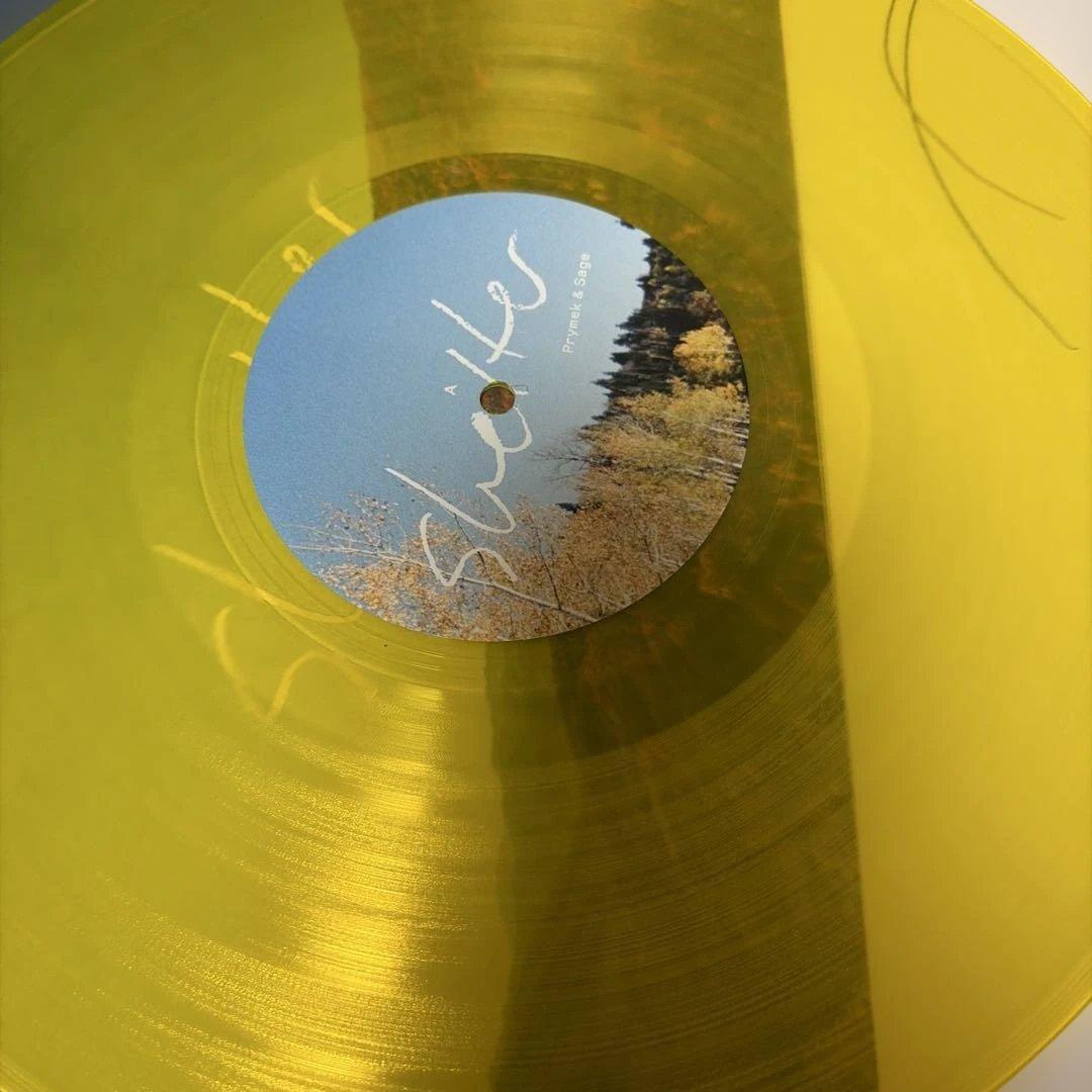 Prymek & Sage - Shelter Vinyl LP, Limited Color Edition, Ambient Folk