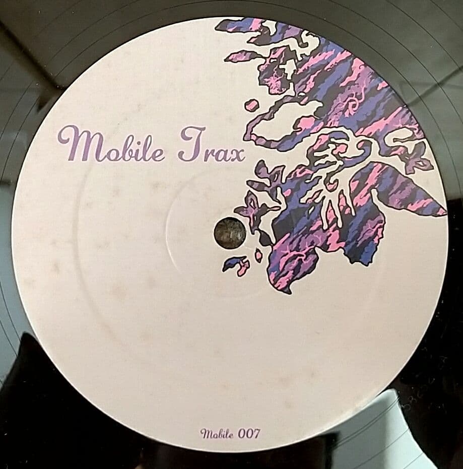 Special Interest - Bustin Loose 12" Vinyl Electronic House Club Record