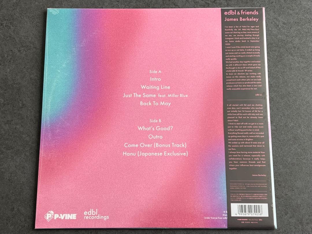 edbl & friends - James Berkeley Vinyl LP Japan Pressing OBI Limited Edition