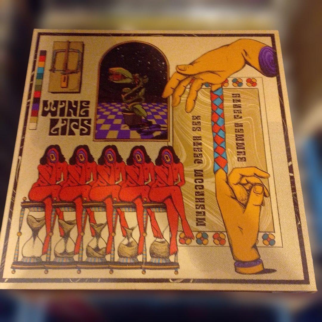 Wine Lips - Mushroom Death Sex / Bummer Party Vinyl LP Garage Rock Japan