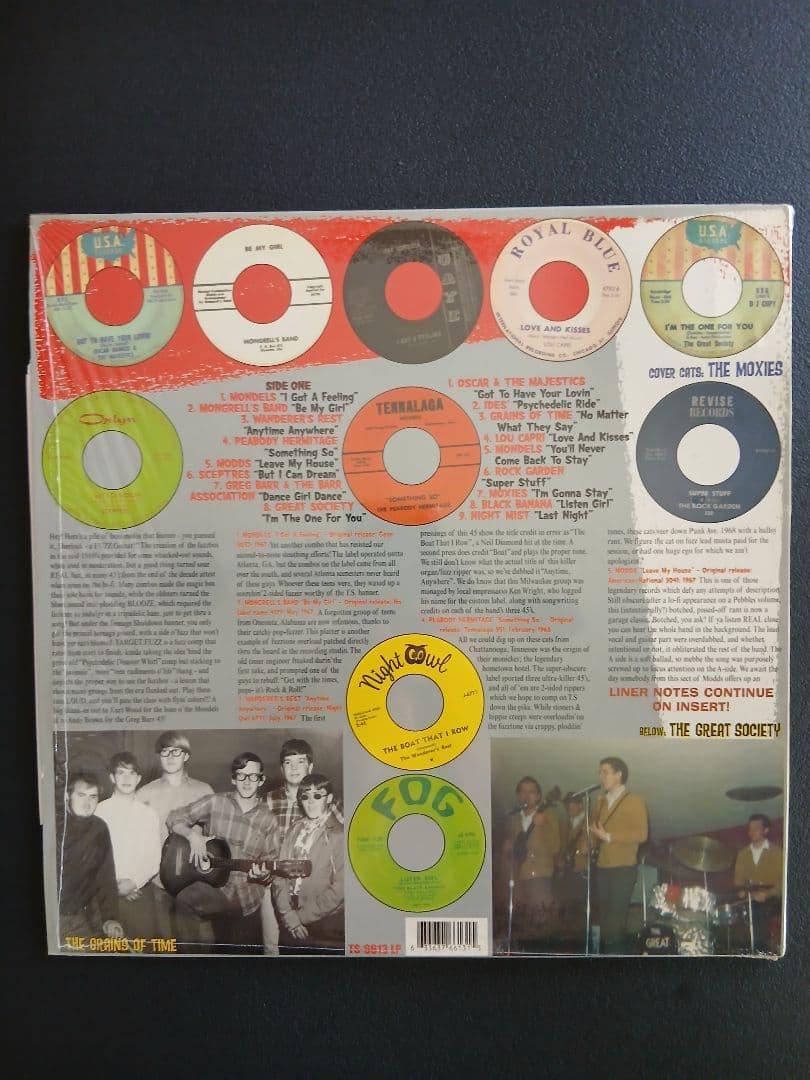 Various - Teenage Shutdown! Vol. 13: I'm Gonna Stay! Vinyl LP Fuzz Garage Rock