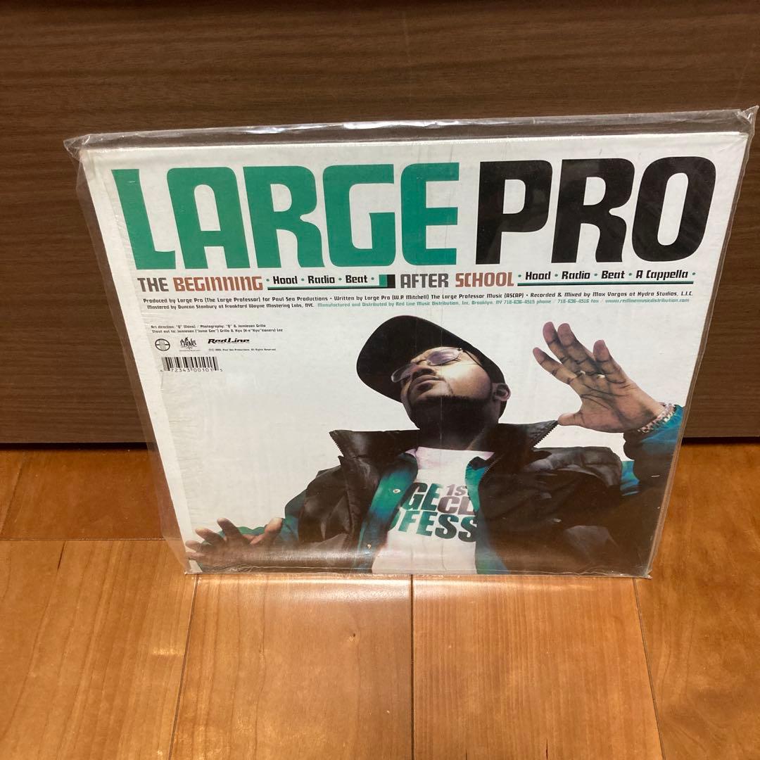 Large Pro - The Beginning 12" Vinyl Record Hip Hop Clean Copy