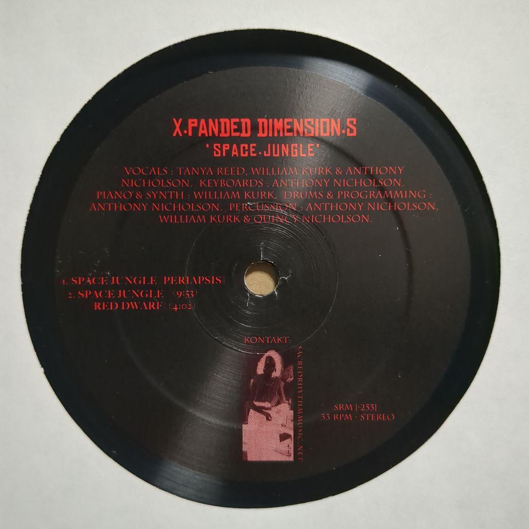 X.Panded Dimension.S - Space.Jungle 12" Vinyl Anthony Nicholson Sacred Rhythm