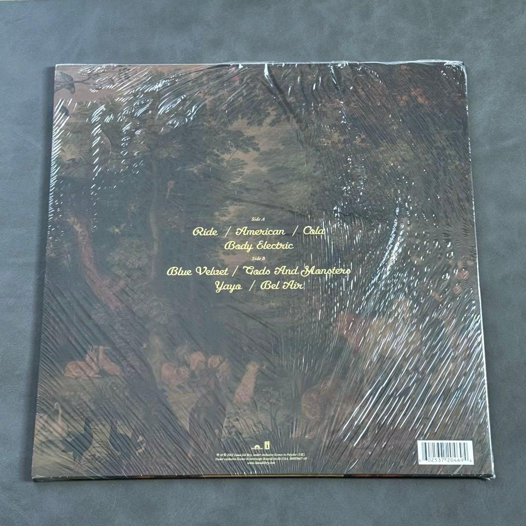 Lana Del Rey - Paradise EP Vinyl Record 2012 Indie Pop