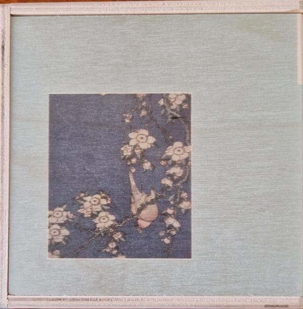 Merzbow Nine Studies Of Ephemeral VOL5 CD Limited Wooden Box 2025 | Japansoundstore