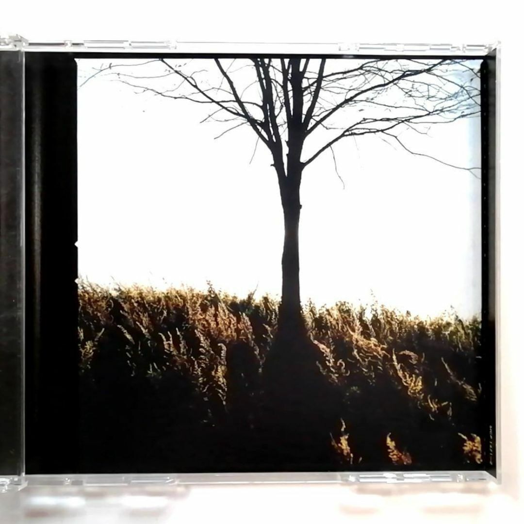 Ash Twilight Of The Innocents 2CD First Press Limited Edition used | Japansoundstore