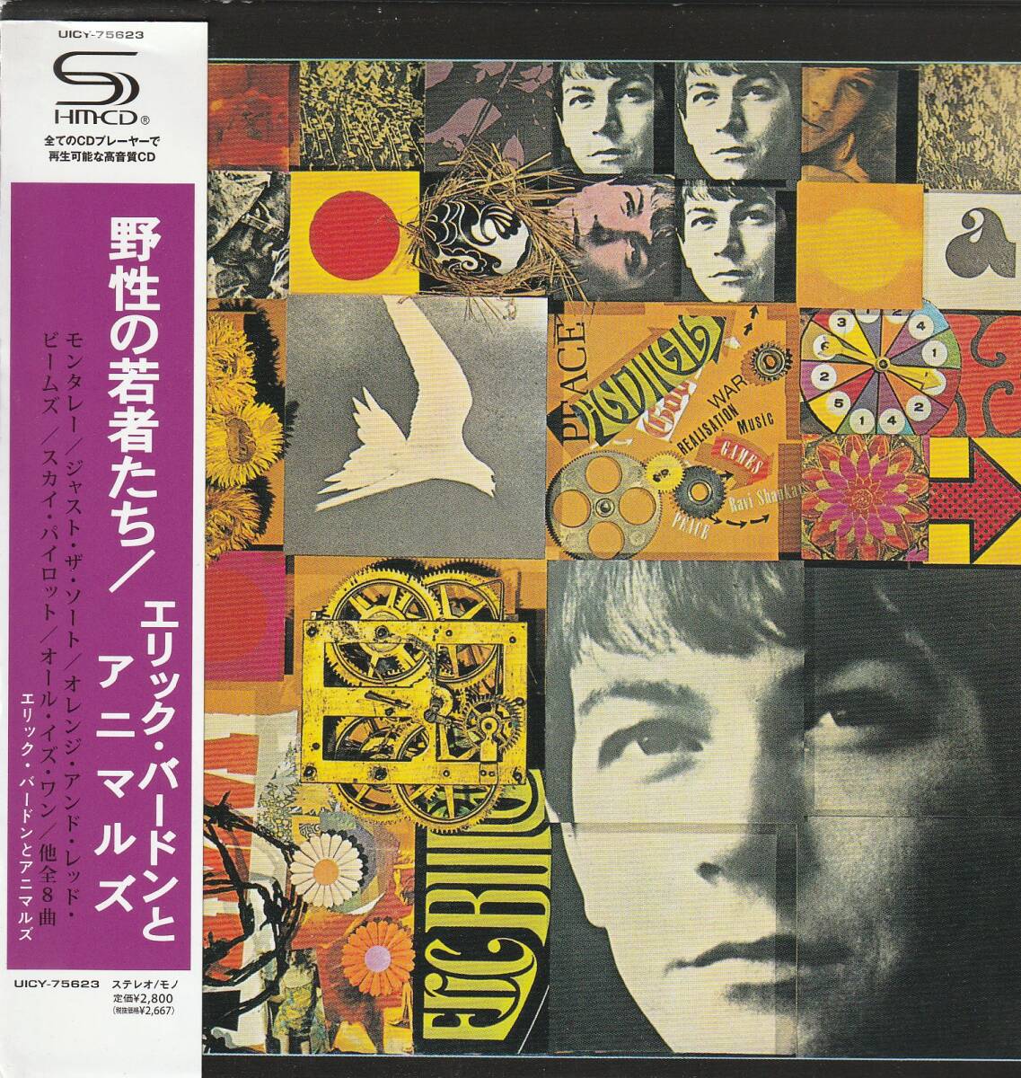 Eric Burdon & The Animals Wild Young People CD Limited Edition Used SHM-CD | Japansoundstore