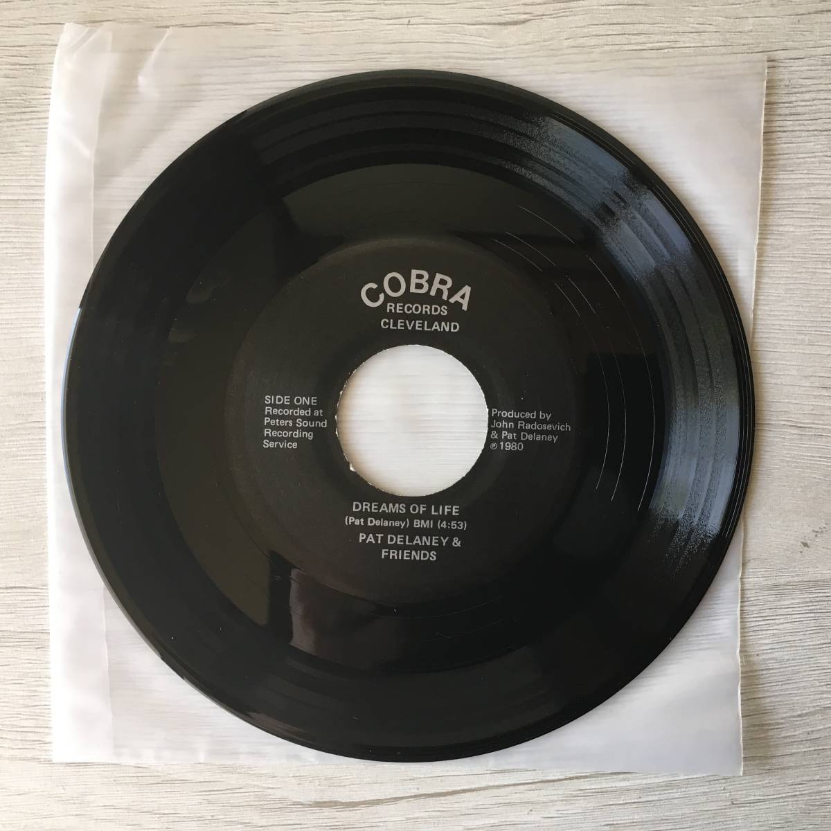 Pat Delaney & Friends Dreams of Life US Vinyl Record Collection | Japansoundstore