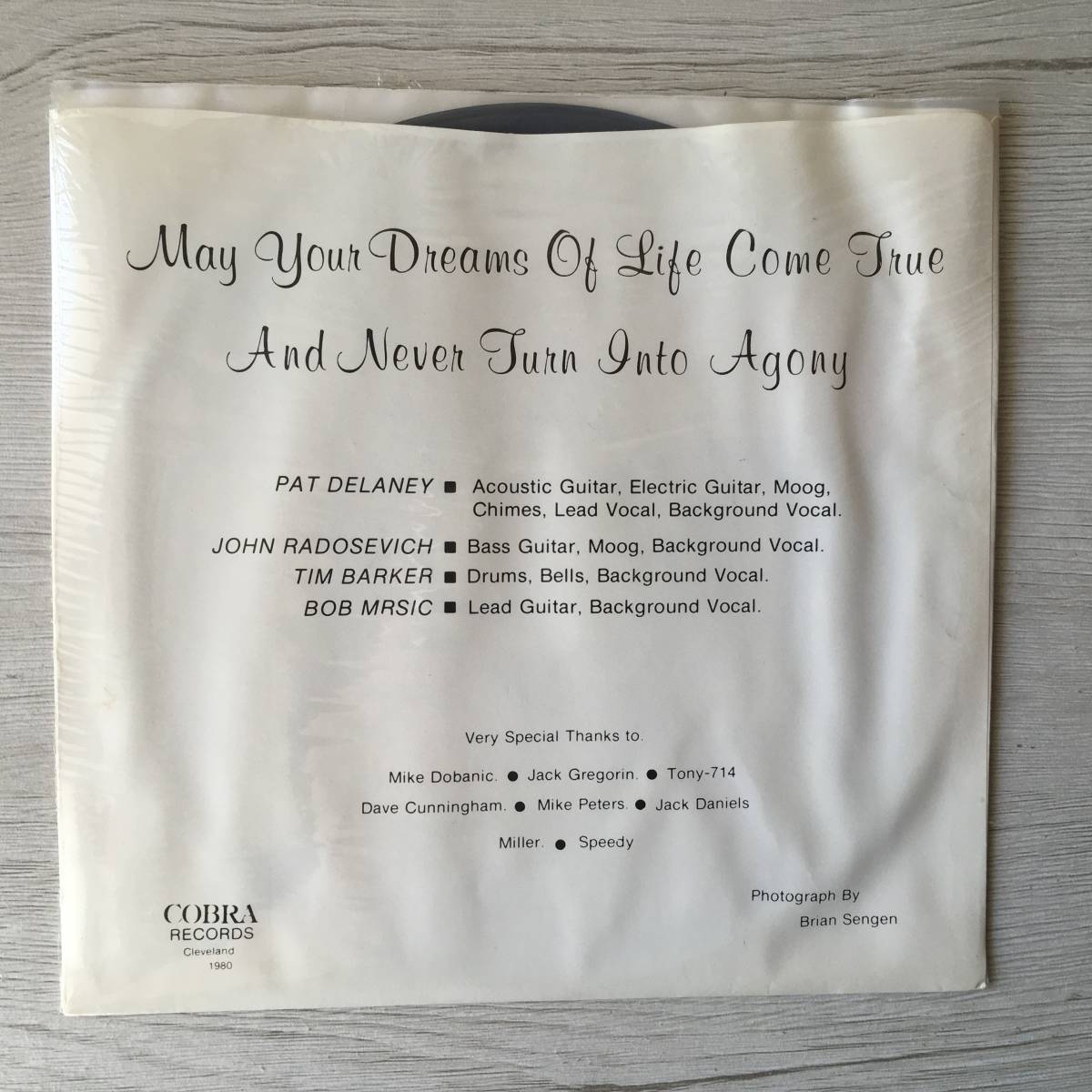 Pat Delaney & Friends Dreams of Life US Vinyl Record Collection | Japansoundstore