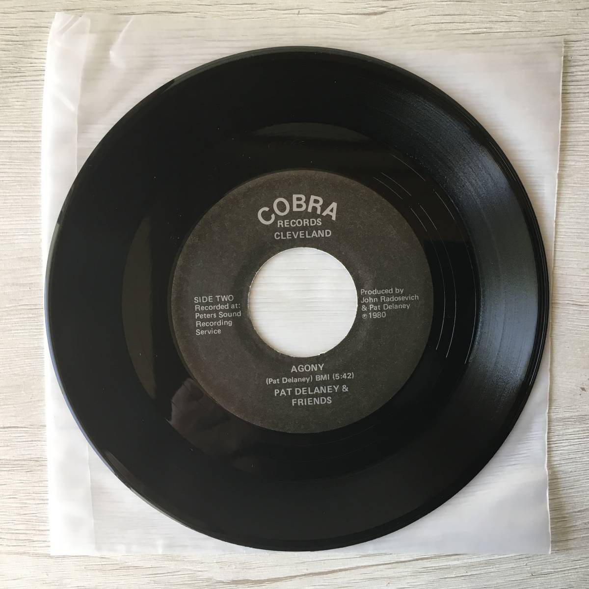 Pat Delaney & Friends Dreams of Life US Vinyl Record Collection | Japansoundstore