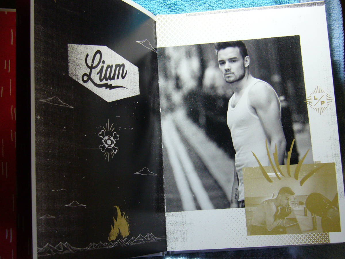 One Direction Midnight Memories Limited Edition CD with Obi Used | Japansoundstore