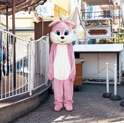 Ikimono Gakari Kono Monka 2CD Limited First Press DVD Included Used | Japansoundstore
