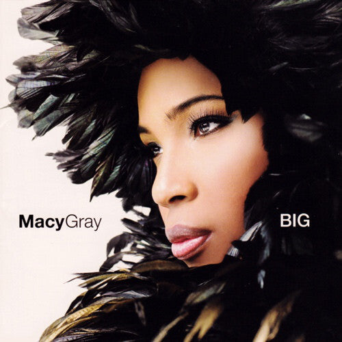 Macy Gray, Will.i.am, Natalie Cole, Fergie BIG CD Limited Price Edition Geffen | Japansoundstore