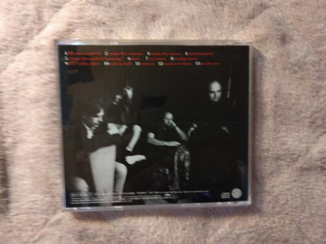 The Bears Car Caught Fire CD Adrian Belew Japan Press with OBI King Crimson