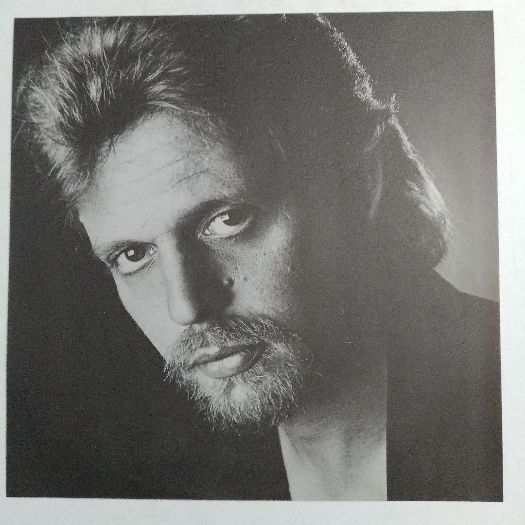 Don Felder Airborne Japan Vinyl LP 1983 Asylum P-11433 w/Obi Eagles Guitarist