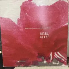 Blaze Presents James Toney Jr. Project - Natural Blaze 2LP House Deep Soul