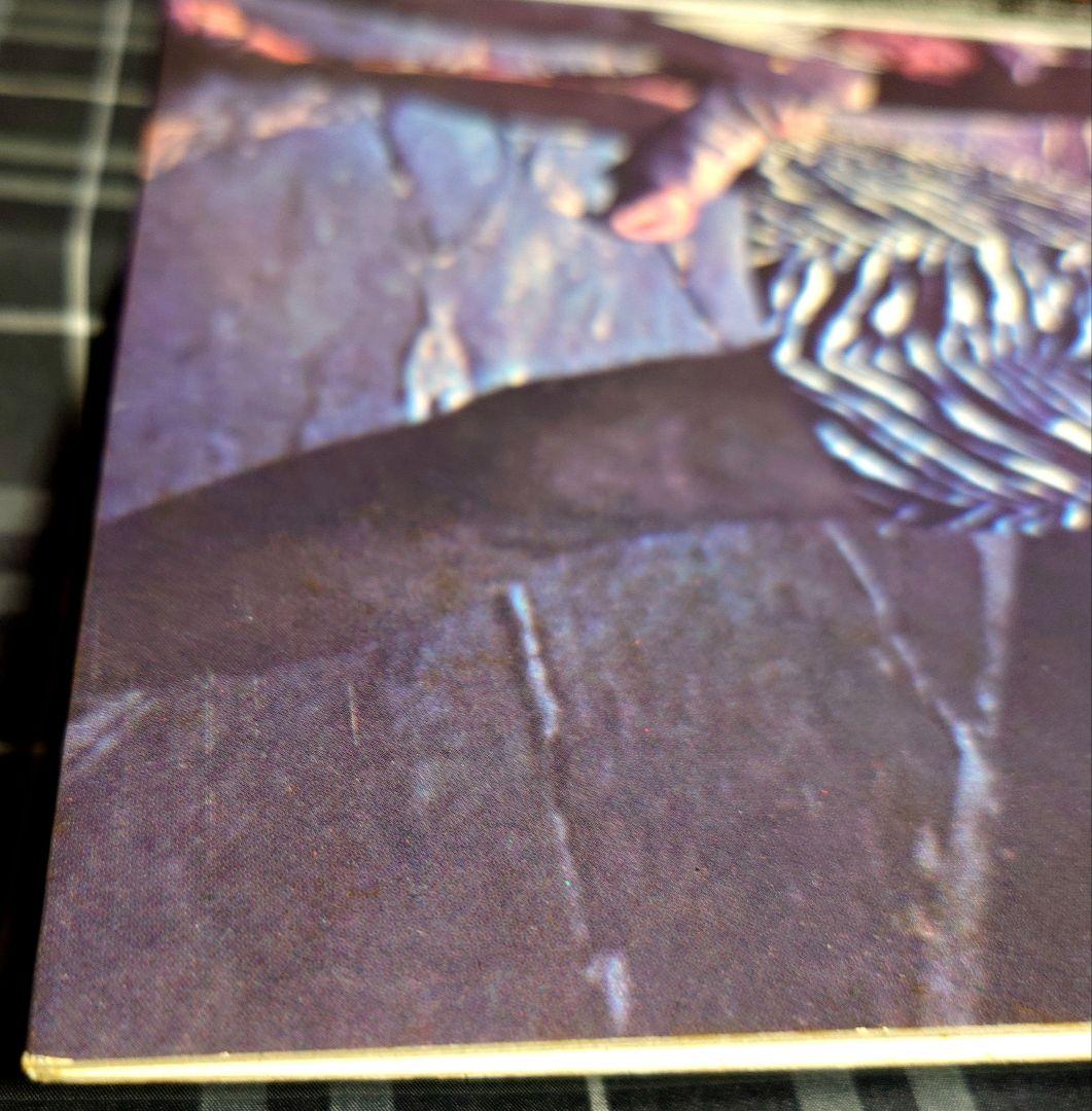 Doors Rare Japanese Domestic OBI Vinyl Album Strange Days with OBI | Japansoundstore