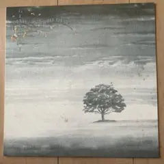 Genesis - Wind & Wuthering LP Japan Pressing Progressive Rock