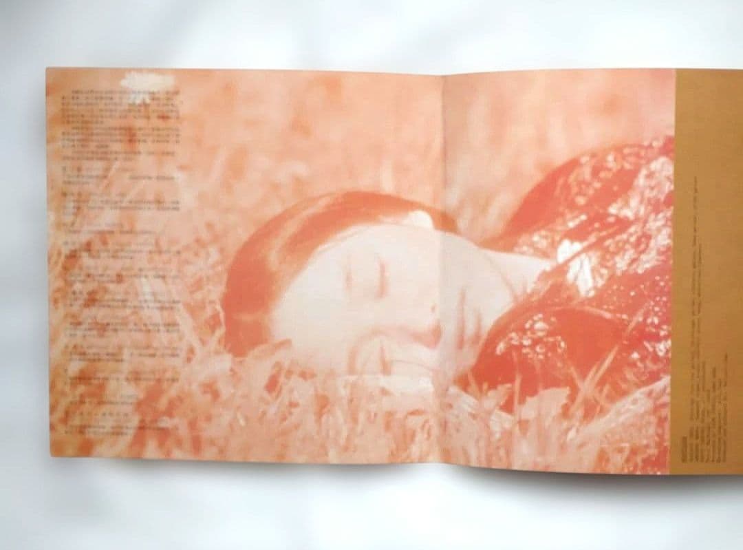 Agnes Chan Loving Songs LP Hong Kong 12inch Good Condition | Japansoundstore