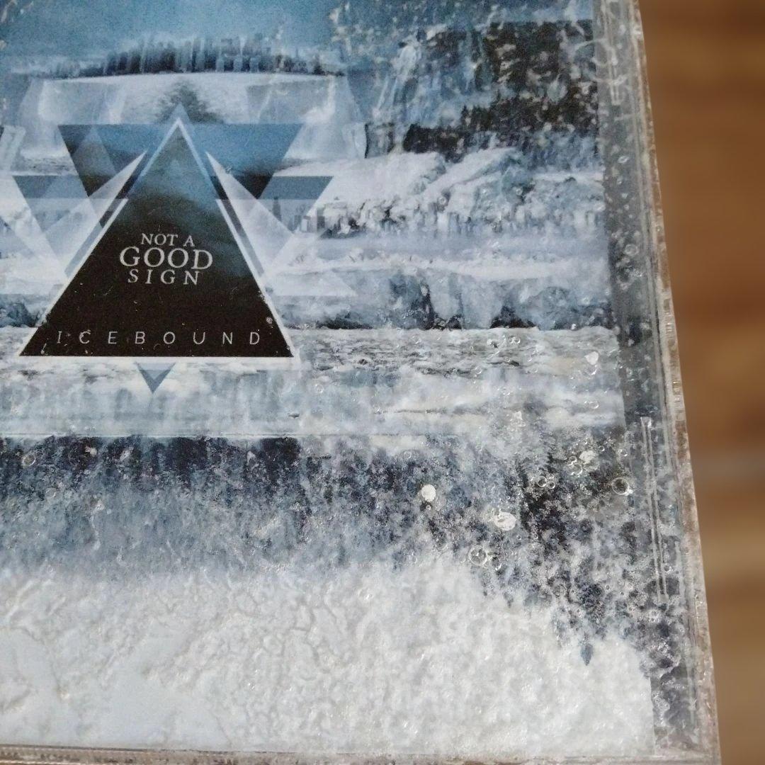 Not a Good Sign - Icebound CD, Limited Edition 209/500, Signed, Italian Prog