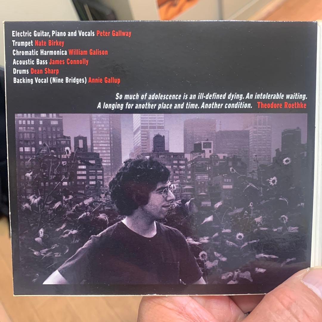 Peter Gallway - Manhattan Nocturne CD (2009, USA Press, Mini LP Style)