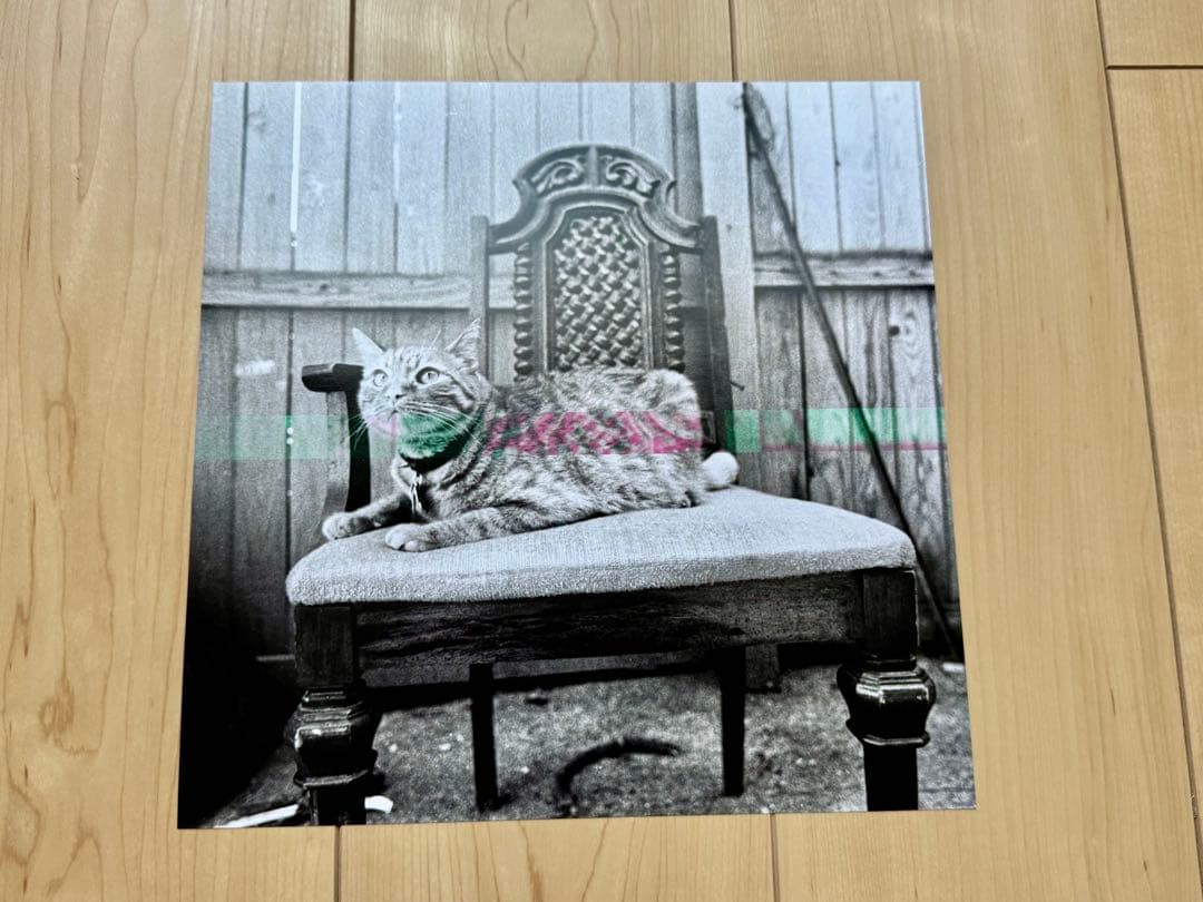 Snowing I Could Do Whatever I Wanted If I Wanted LP Blue Vinyl Emo Revival