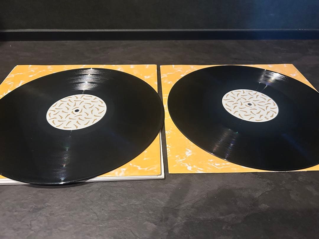 Vondelpark - Seabed - Double Vinyl LP - R&S Records - UK Indie Electronic