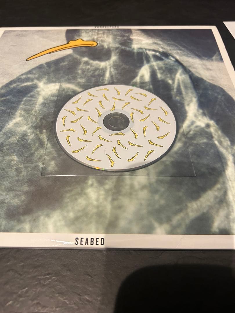 Vondelpark - Seabed - Double Vinyl LP - R&S Records - UK Indie Electronic