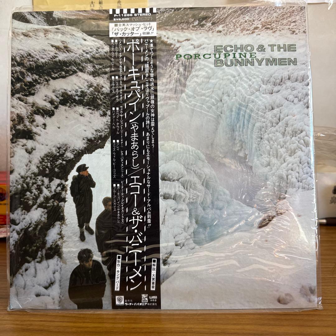 Echo & The Bunnymen - Porcupine - LP Vinyl Japan Pressing w/ Obi P-11288