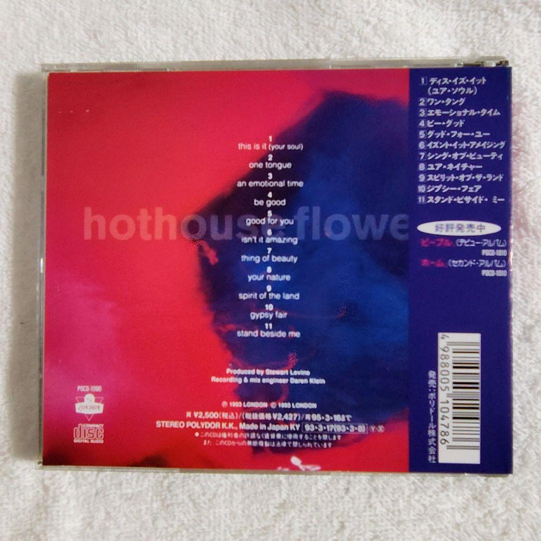 Hothouse Flowers Songs From The Rain CD Japan Press with Obi + Bonus Mini CD