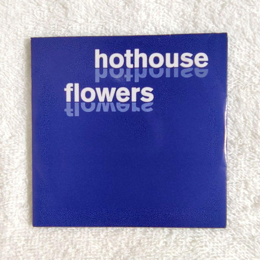 Hothouse Flowers Songs From The Rain CD Japan Press with Obi + Bonus Mini CD