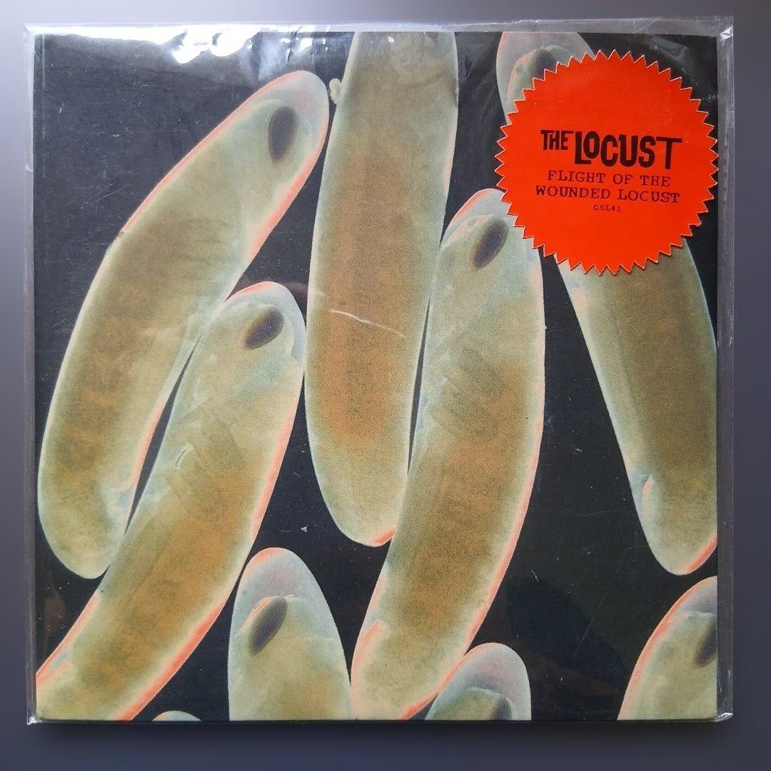 The Locust - Flight Of The Wounded Locust 7" Clear Vinyl EP Hardcore Punk GSL41